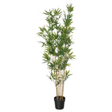 FEJKA artificial potted plant, in/outdoor/bamboo, 21 cm