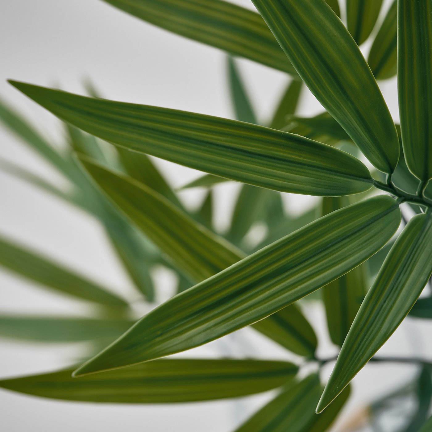 FEJKA artificial potted plant, in/outdoor/bamboo, 21 cm