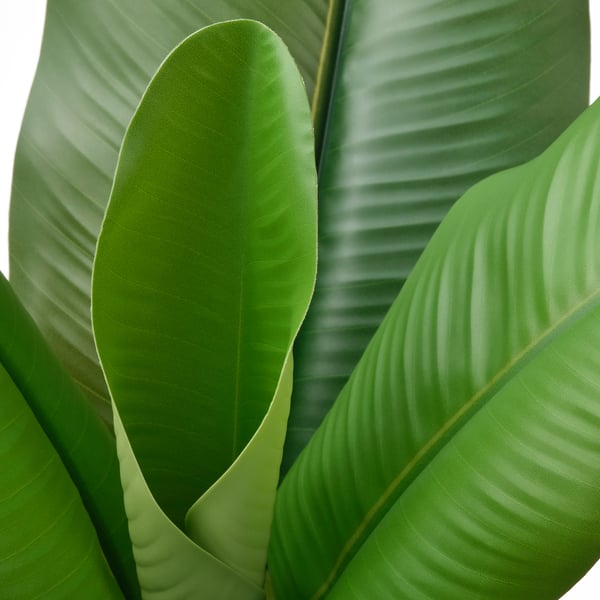 FEJKA artificial potted plant, in/outdoor Banana tree, 12 cm