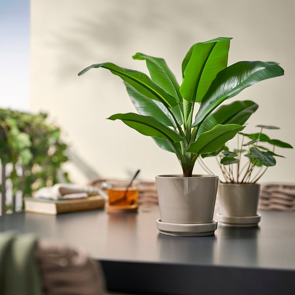 FEJKA artificial potted plant, in/outdoor Banana tree, 12 cm