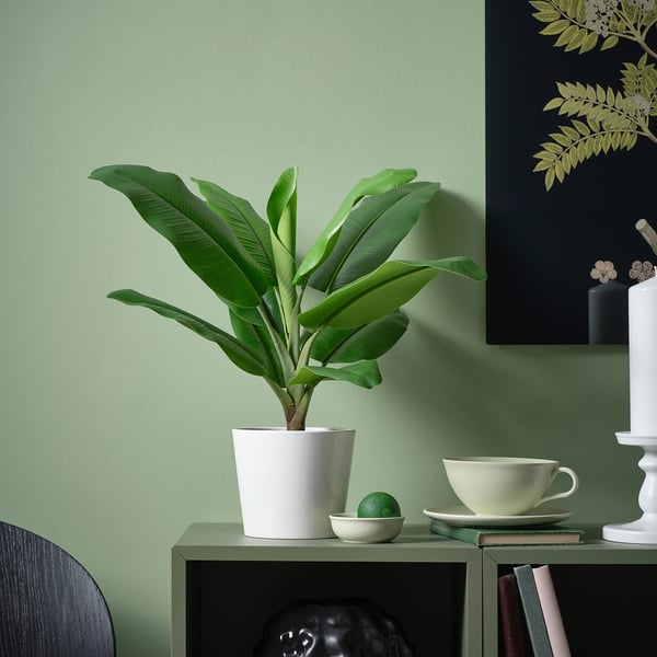 FEJKA artificial potted plant, in/outdoor Banana tree, 12 cm