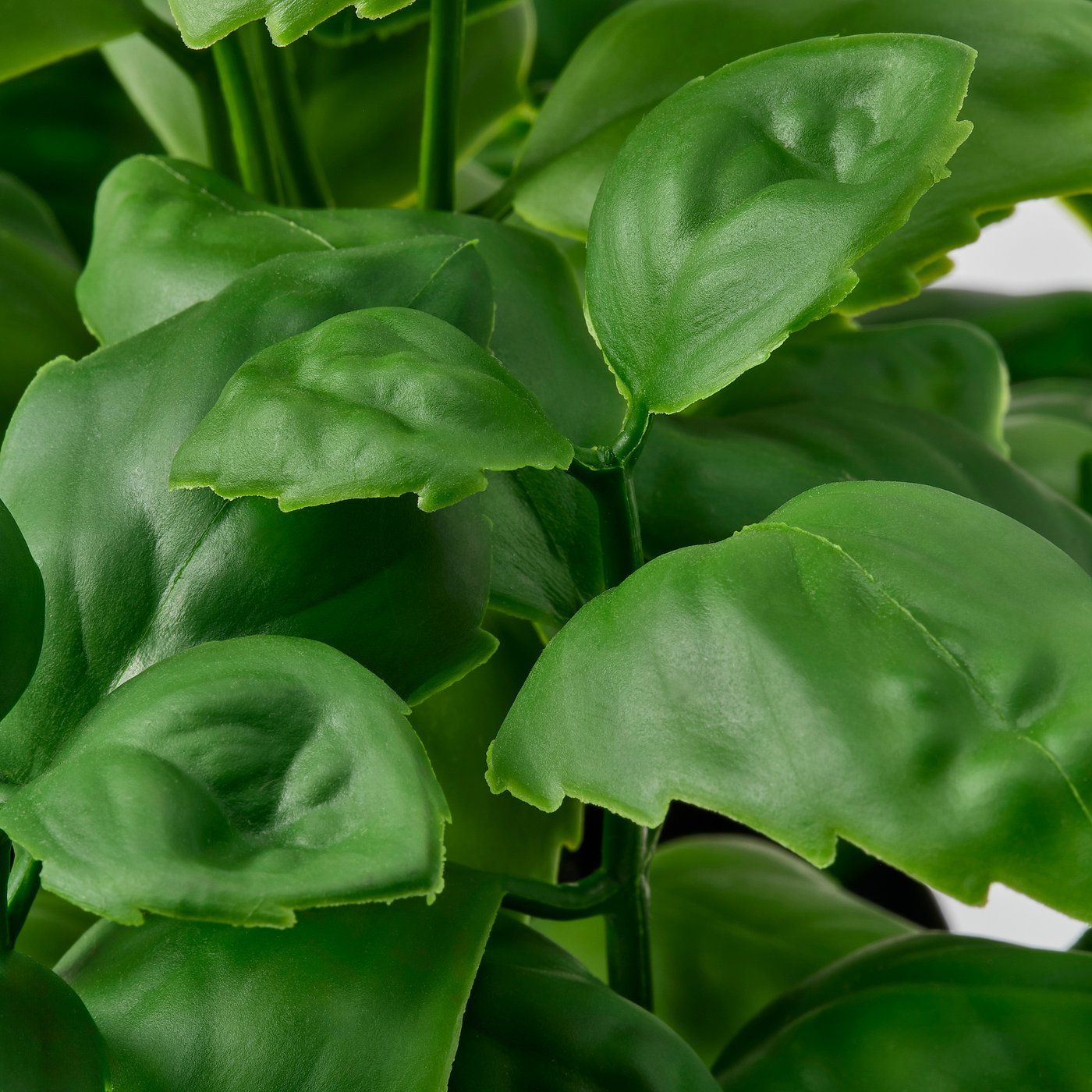 FEJKA artificial potted plant, in/outdoor/basil, 9 cm