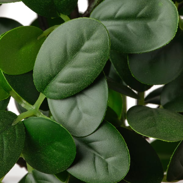 FEJKA artificial potted plant with pot, in/outdoor bonsai, 16 cm