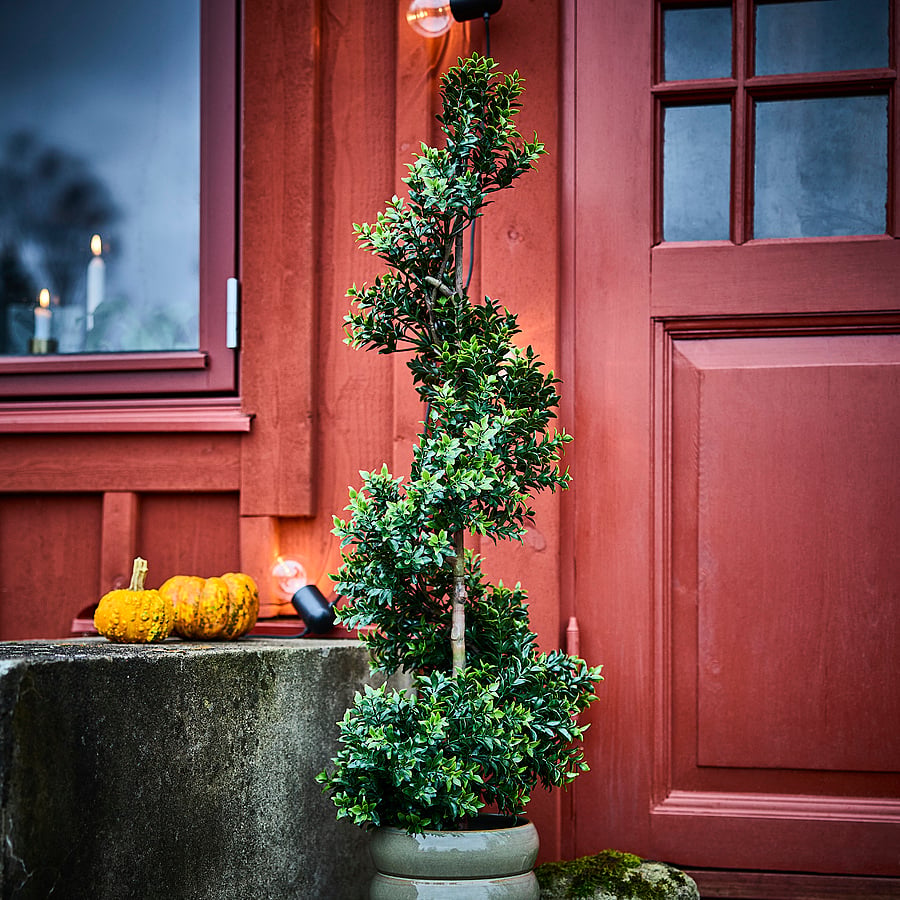 FEJKA artificial potted plant, in/outdoor/Box green, 15 cm