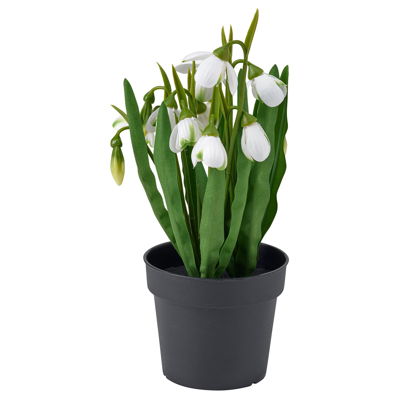 FEJKA artificial potted plant, in/outdoor/snowdrop white, 9 cm