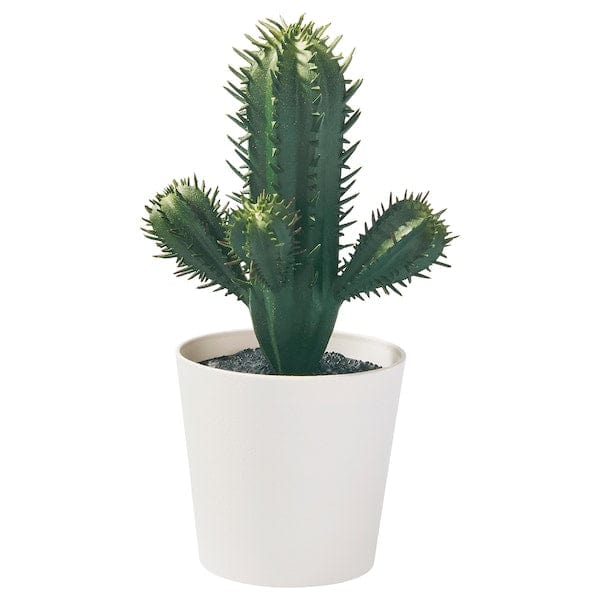 FEJKA - Artificial potted plant, in/outdoor Cactus, 6 cm