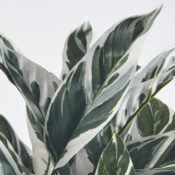 Ikea FEJKA - Artificial potted plant, indoor/outdoor calathea,15 cm