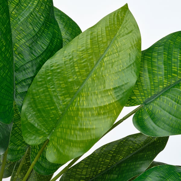 FEJKA artificial potted plant, in/outdoor calathea, 12 cm