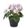 FEJKA artificial potted plant, in/outdoor Alpine violet/light pink, 12 cm