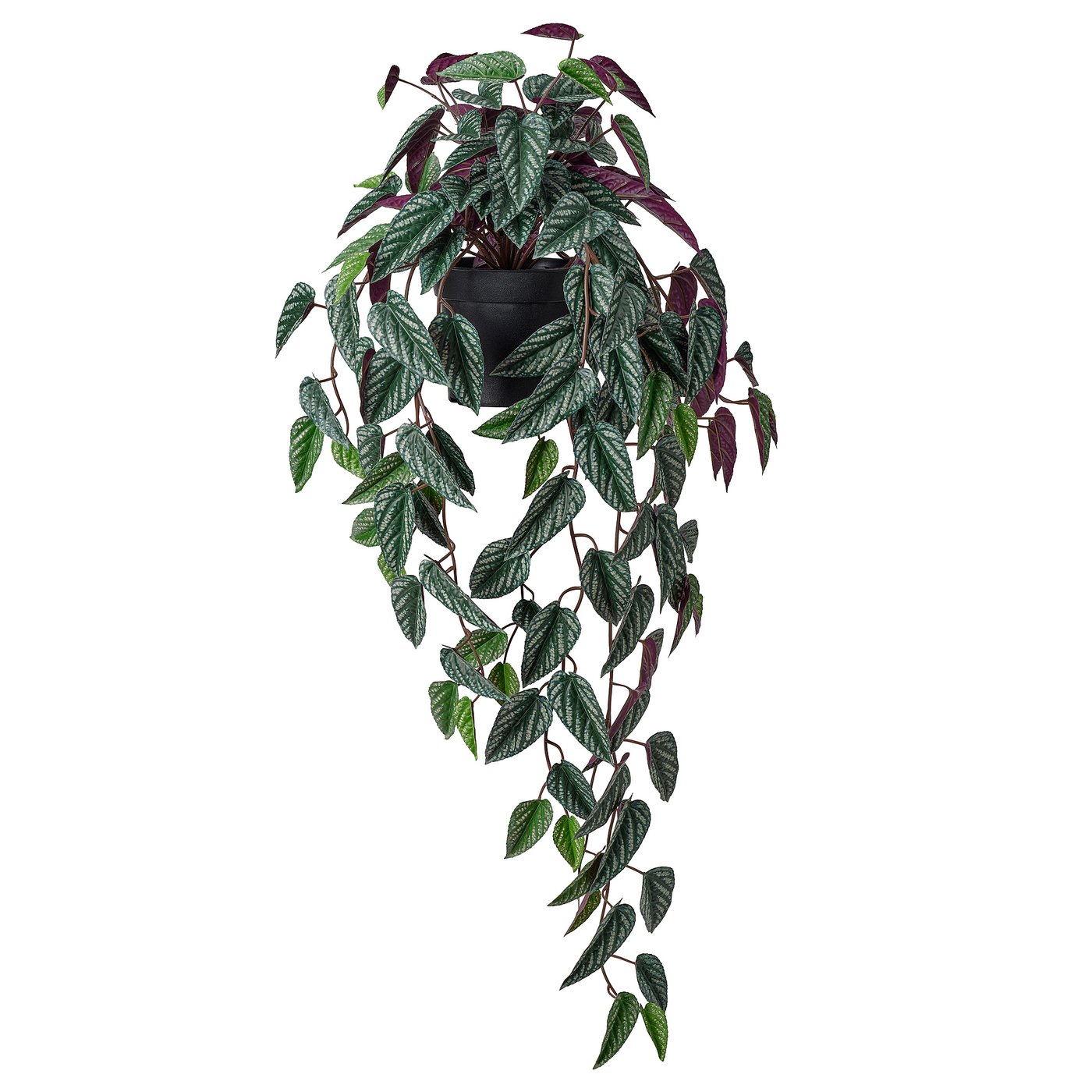 FEJKA artificial potted plant, in/outdoor cissus/hanging, 15 cm