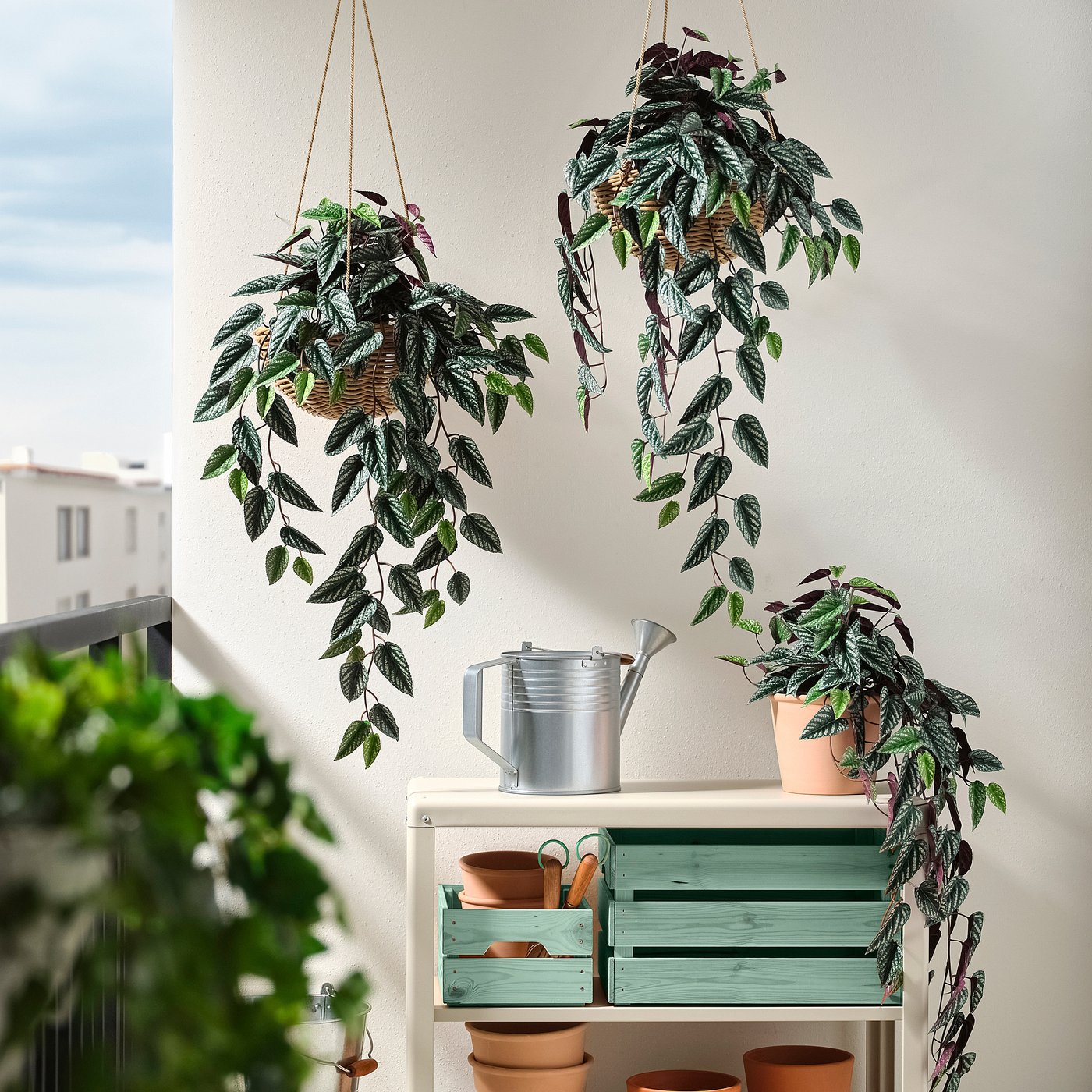 FEJKA artificial potted plant, in/outdoor cissus/hanging, 15 cm