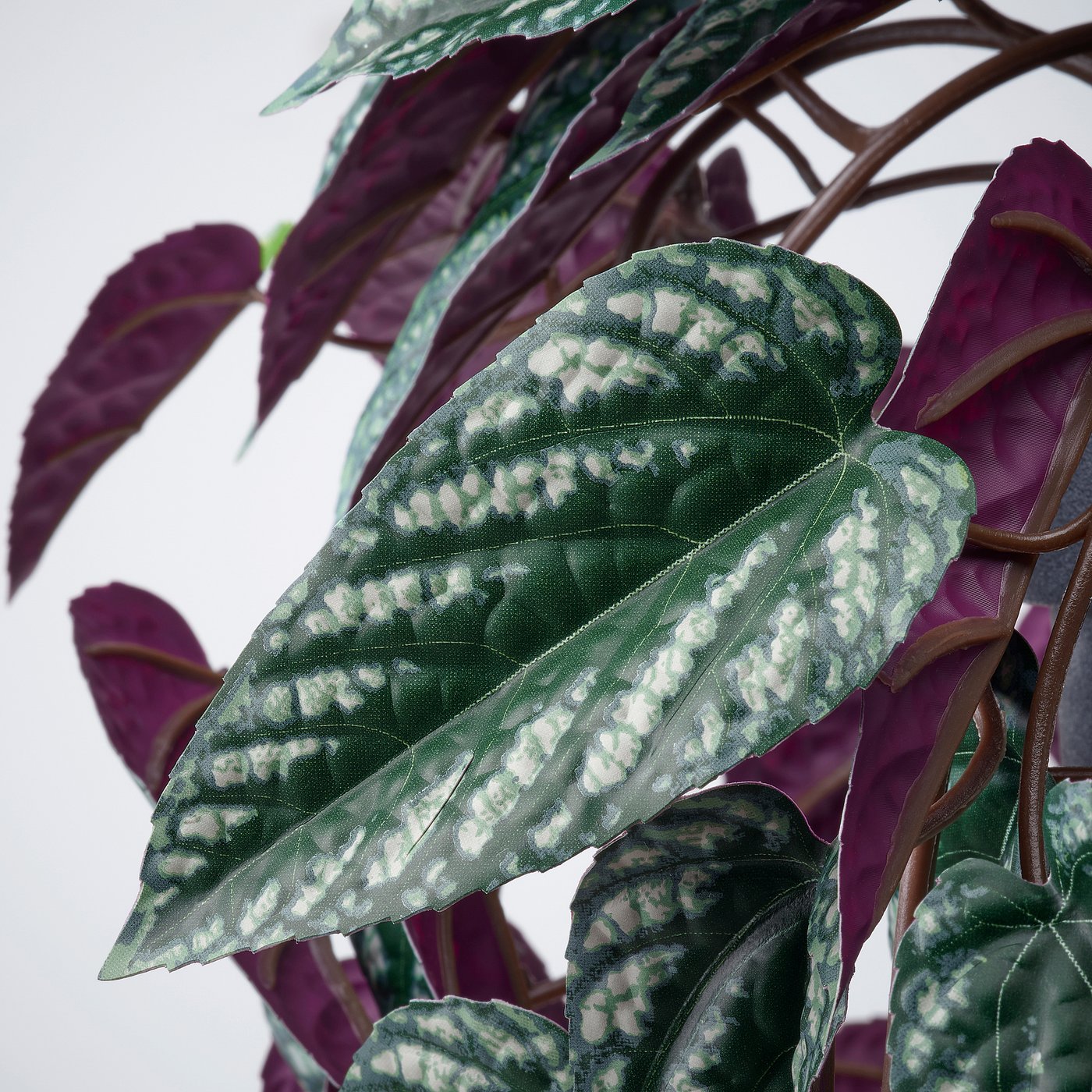 FEJKA artificial potted plant, in/outdoor cissus/hanging, 15 cm