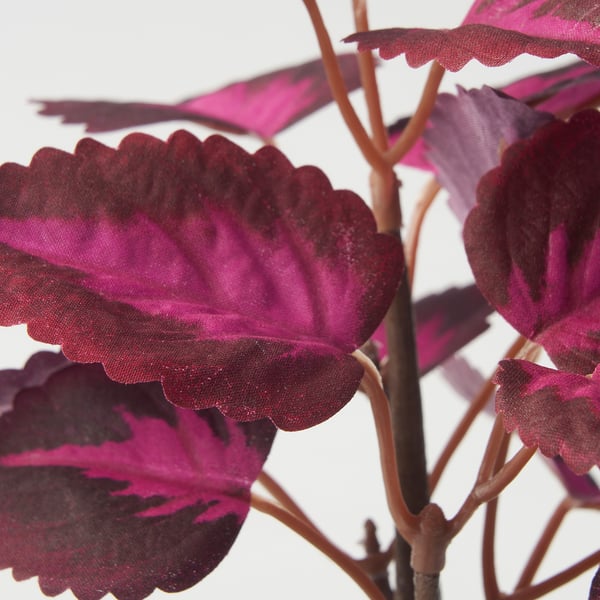 FEJKA artificial potted plant, in/outdoor Painted nettle/red, 9 cm