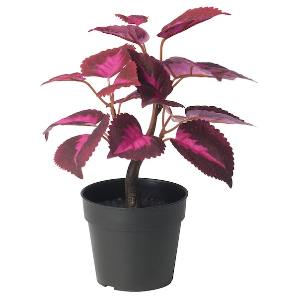 FEJKA - Artificial potted plant, in/outdoor Painted nettle/red, 9 cm