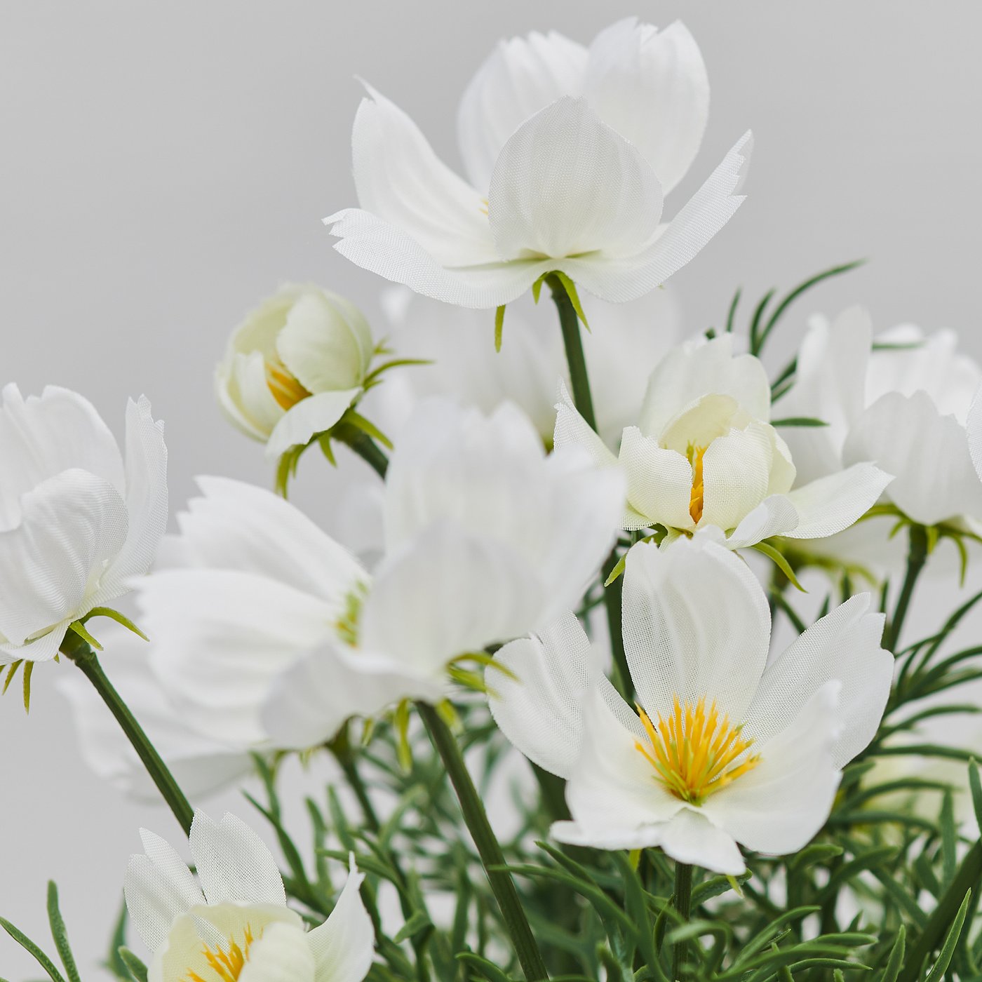 FEJKA artificial potted plant, in/outdoor/cosmos white, 9 cm