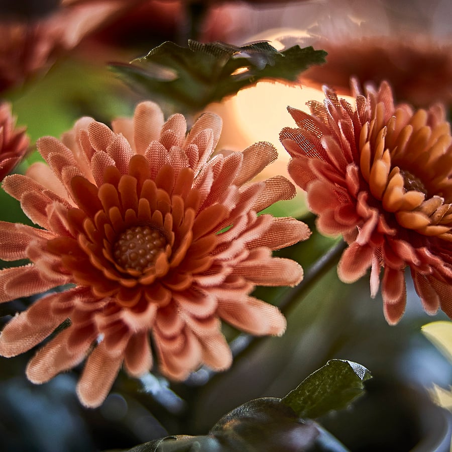 FEJKA artificial potted plant, in/outdoor/Chrysanthemums orange, 9 cm
