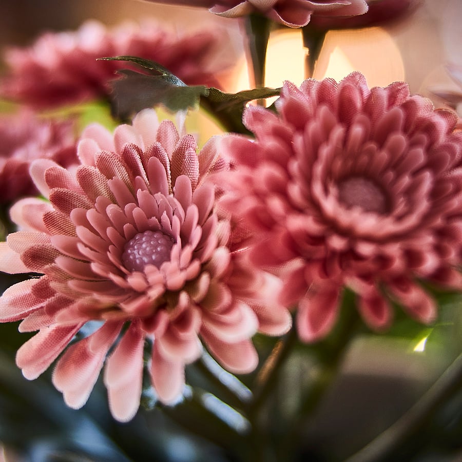 FEJKA artificial potted plant, in/outdoor/Chrysanthemums pink, 9 cm