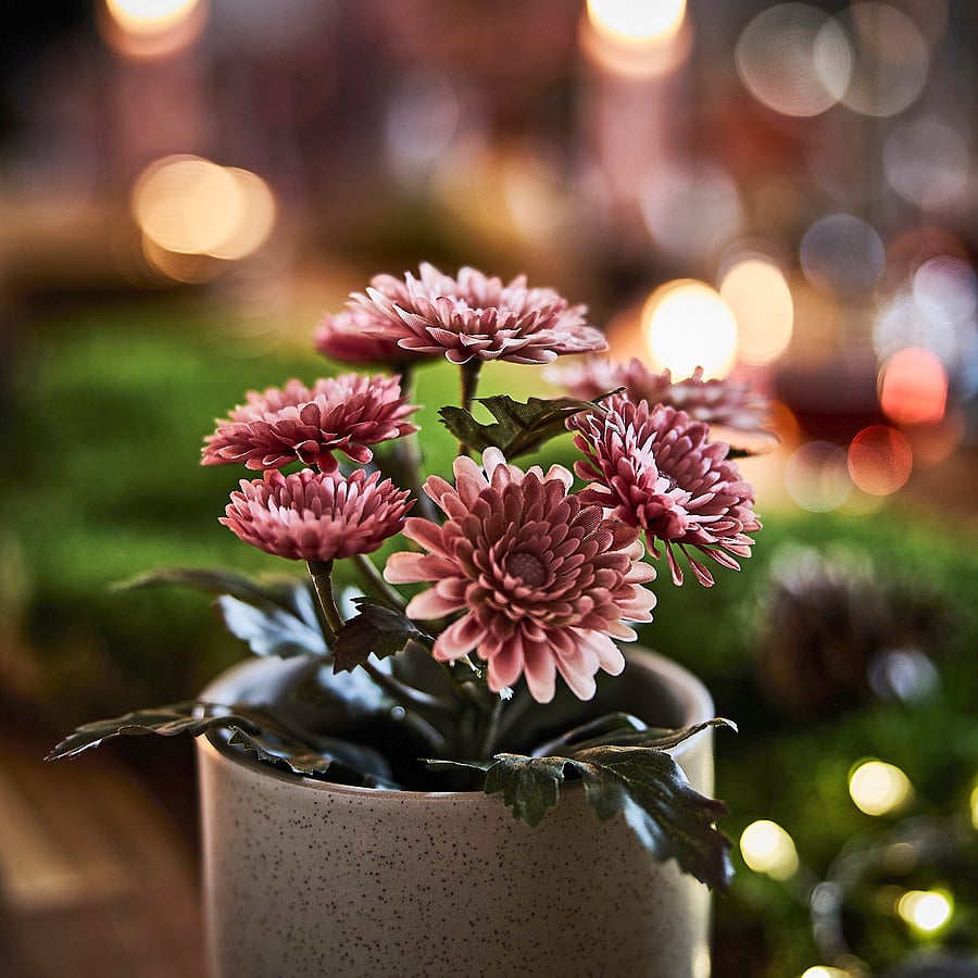 FEJKA artificial potted plant, in/outdoor/Chrysanthemums pink, 9 cm