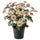 FEJKA artificial potted plant, in/outdoor/Chrysanthemums light orange, 15 cm