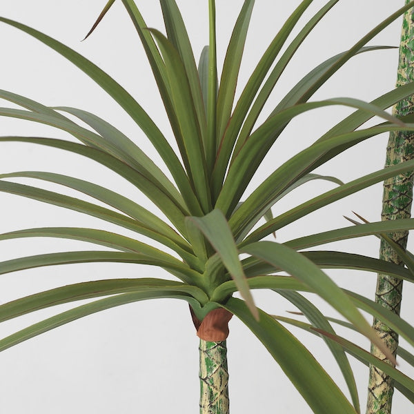 FEJKA - Artificial potted plant, in/outdoor Dracena, 23 cm