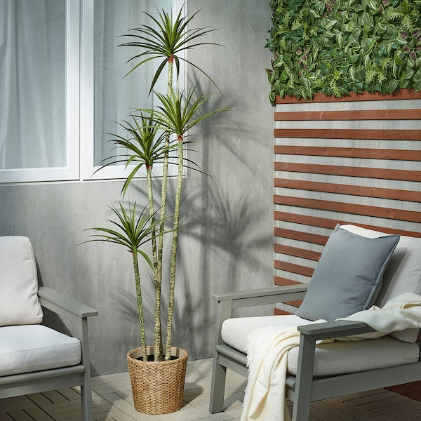 FEJKA - Artificial potted plant, in/outdoor Dracena, 23 cm