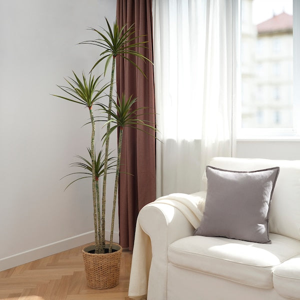 FEJKA - Artificial potted plant, in/outdoor Dracena, 23 cm