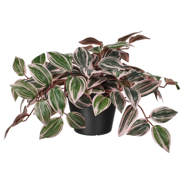FEJKA - Artificial potted plant, indoor/outdoor Erba miseria/lilac,12 cm