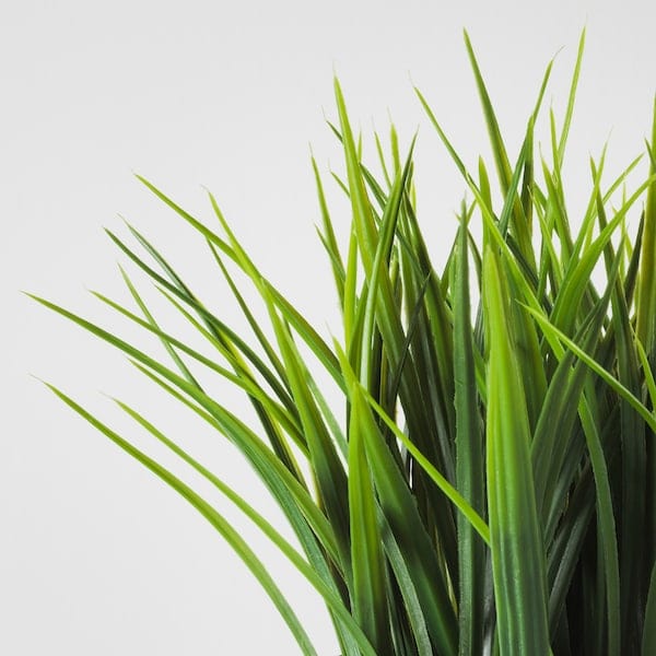 Ikea FEJKA - Artificial potted plant, in/outdoor grass, 9 cm