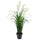 FEJKA artificial potted plant, in/outdoor/grass, 17 cm