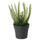 FEJKA artificial potted plant, in/outdoor Heather, 9 cm