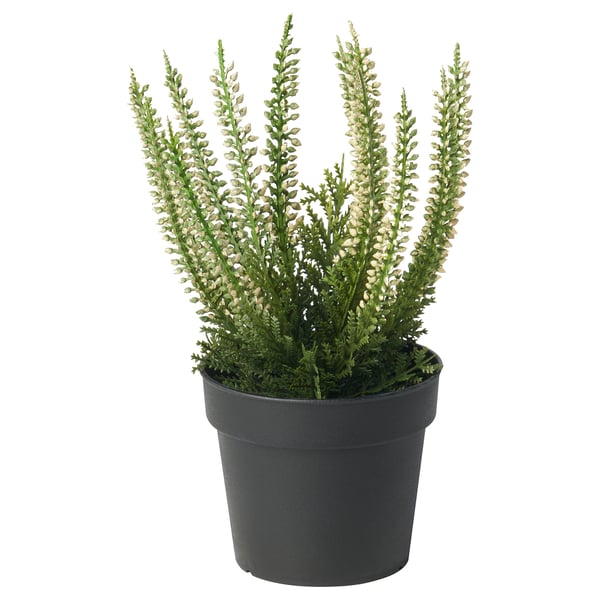 FEJKA - Artificial pruned plant, indoor/outdoor Erica, 9 cm.
