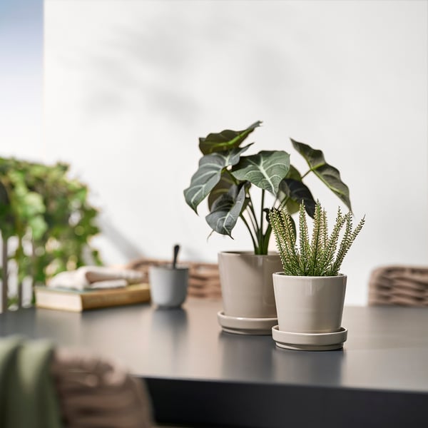 FEJKA artificial potted plant, in/outdoor Heather, 9 cm