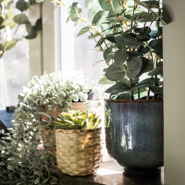 FEJKA artificial potted plant, in/outdoor eucalyptus, 15 cm