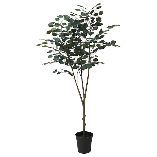 FEJKA - Artificial potted plant, in/outdoor eucalyptus, 19 cm