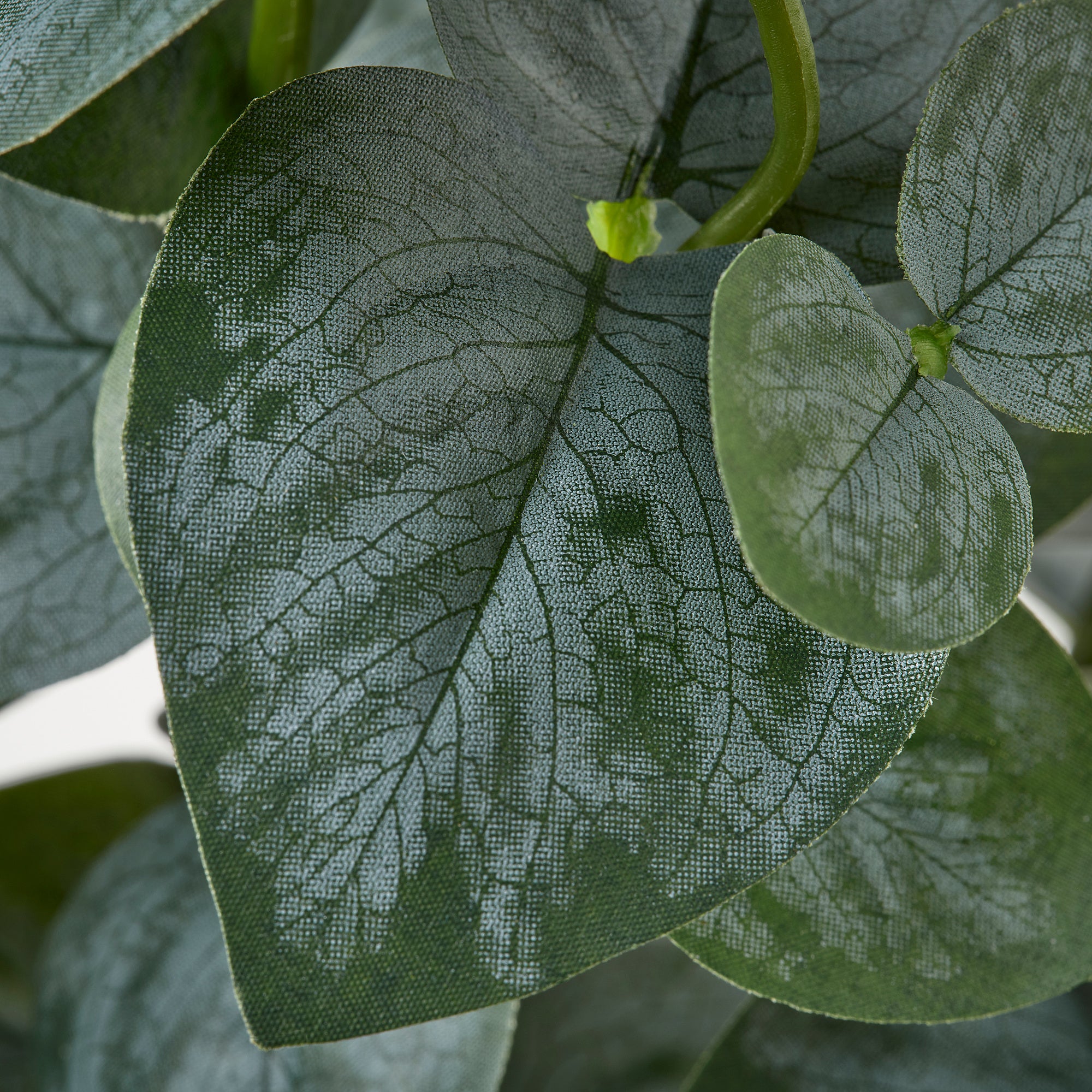 FEJKA artificial potted plant, in/outdoor eucalyptus, 15 cm