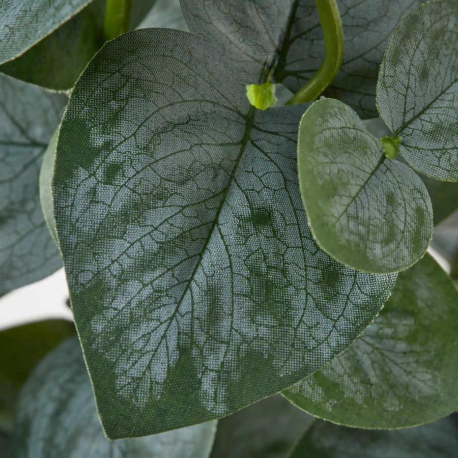 FEJKA artificial potted plant, in/outdoor eucalyptus, 15 cm