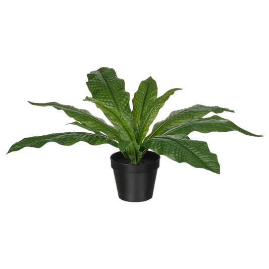 FEJKA - Artificial plant in pot, for indoor/outdoor use Crocodile Fern, 12 cm.