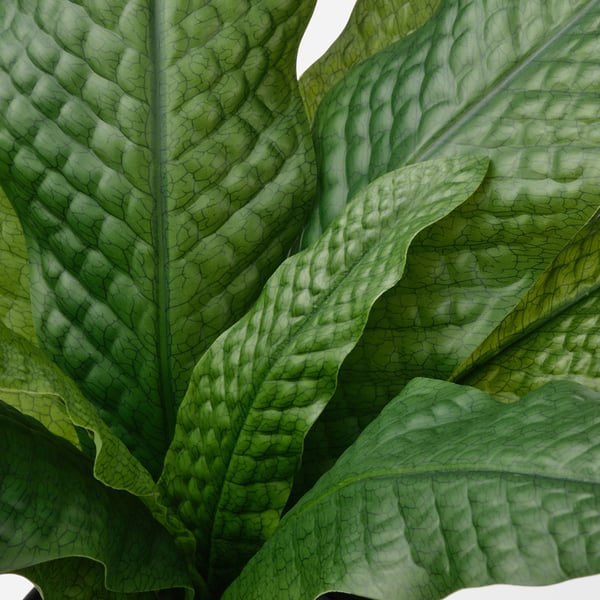 FEJKA - Artificial plant in pot, for indoor/outdoor use Crocodile Fern, 12 cm.