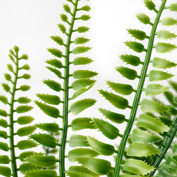 FEJKA artificial potted plant, in/outdoor fern, 9 cm