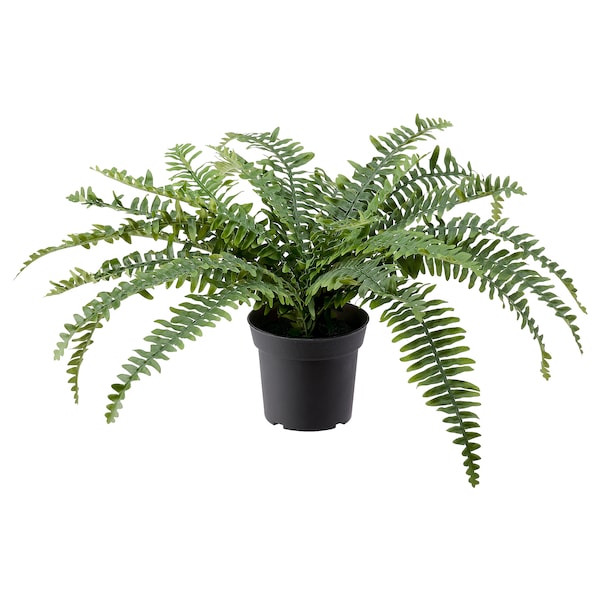 FEJKA - Artificial potted plant, in/outdoor fern, 15 cm