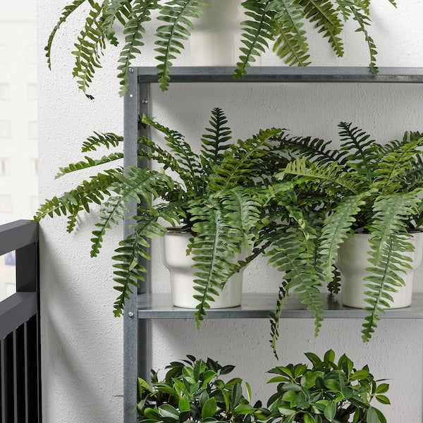 FEJKA - Artificial potted plant, in/outdoor fern, 15 cm