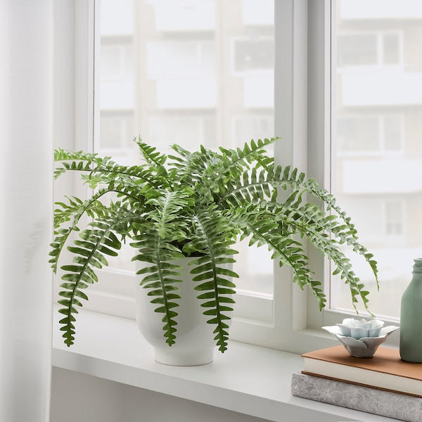 FEJKA - Artificial potted plant, in/outdoor fern, 15 cm