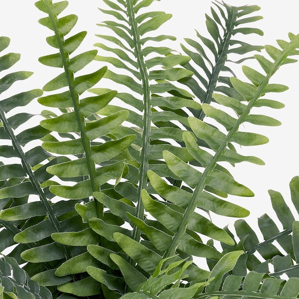 FEJKA - Artificial potted plant, in/outdoor fern, 15 cm