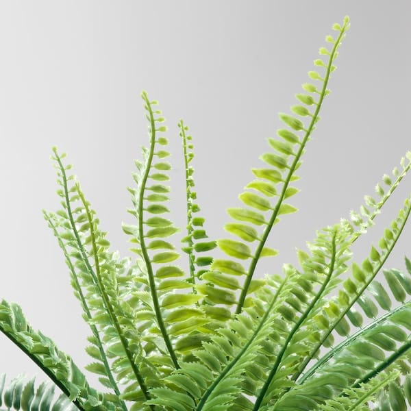 Ikea FEJKA - Artificial potted plant, in/outdoor fern, 9 cm