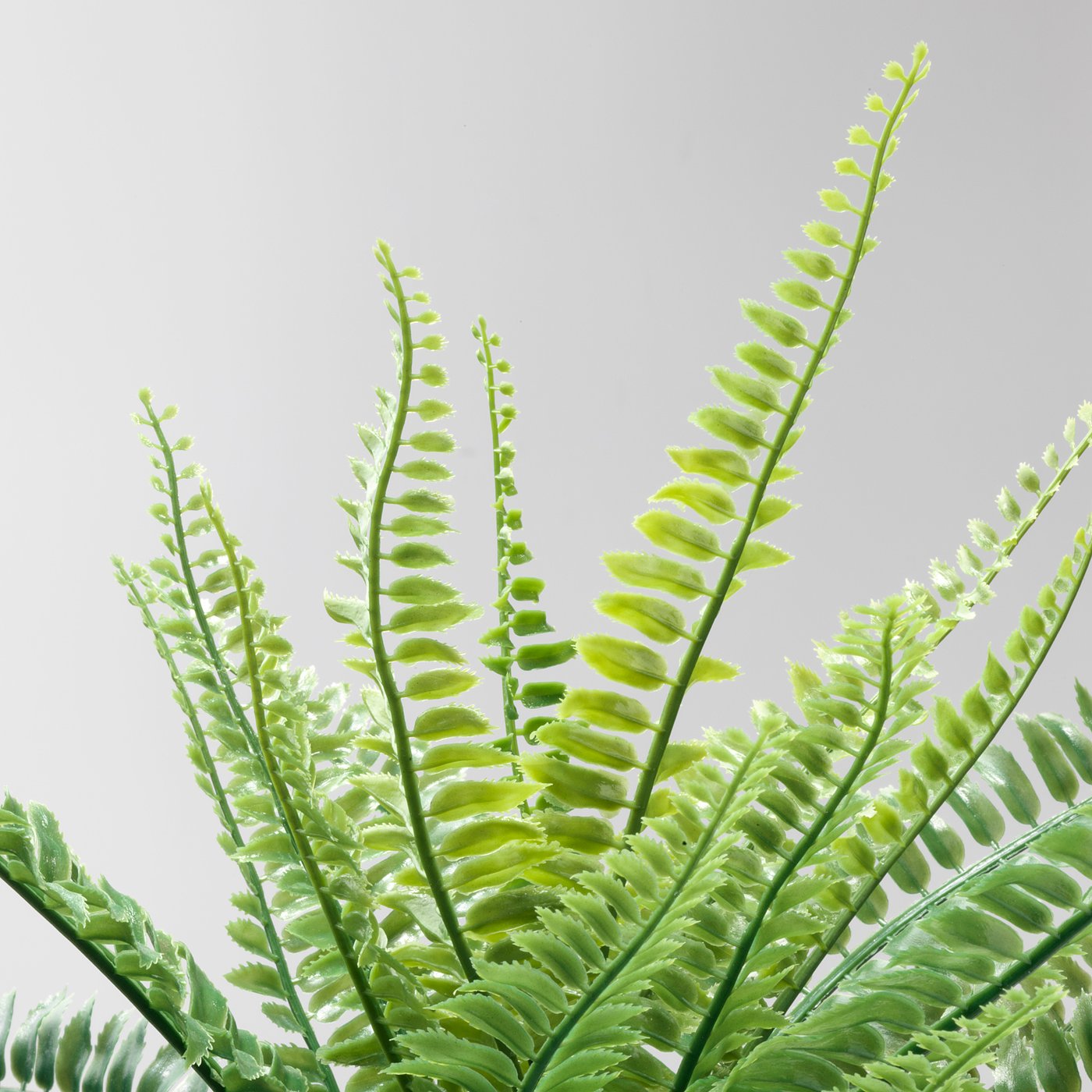 FEJKA artificial potted plant, in/outdoor fern, 9 cm