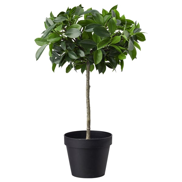 FEJKA artificial potted plant, in/outdoor/Weeping fig stem