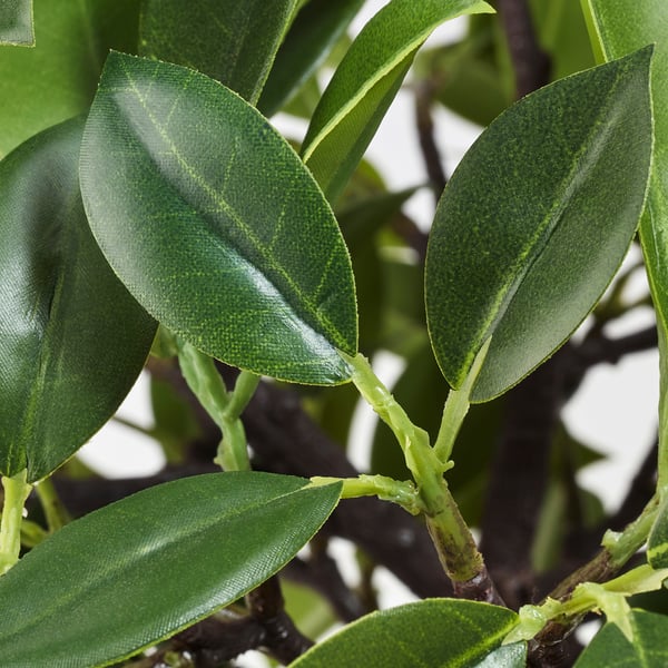 FEJKA artificial potted plant, in/outdoor/Weeping fig stem