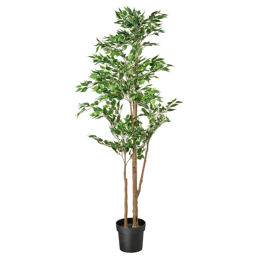 FEJKA artificial potted plant, in/outdoor Weeping fig, 21 cm