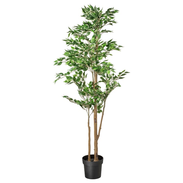 FEJKA artificial potted plant, in/outdoor Weeping fig, 21 cm