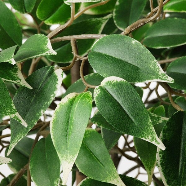 Ikea FEJKA - Artificial potted plant, in/outdoor Weeping fig, 21 cm